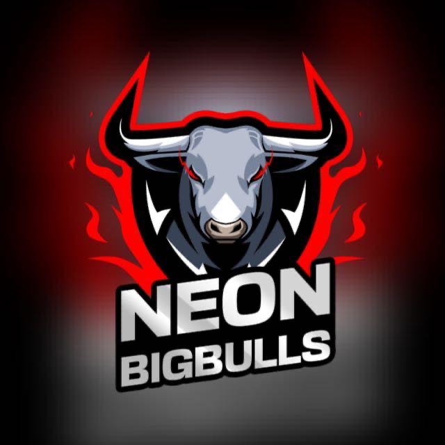 NEON BIGBULLS