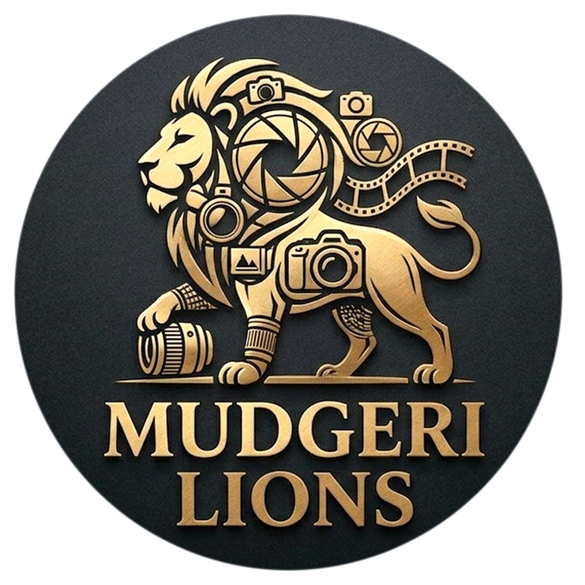 MUDGERI LIONS