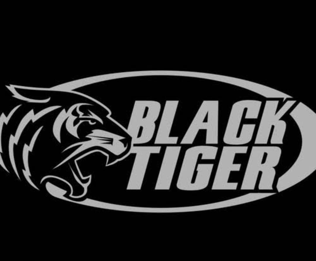 BLACK TIGER 11