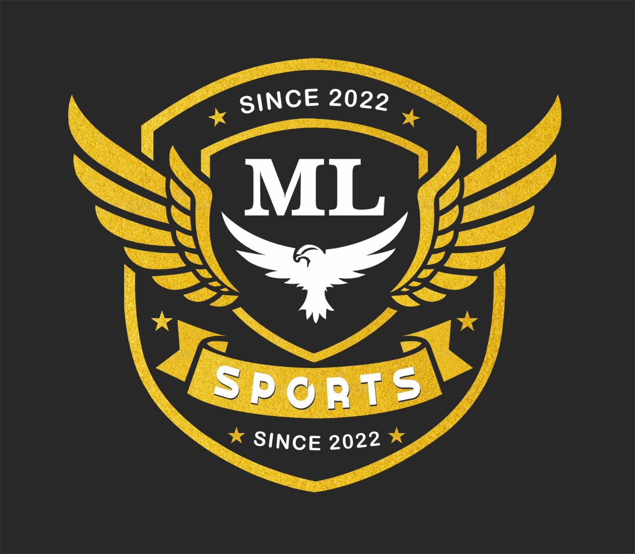 ML SPORTS 