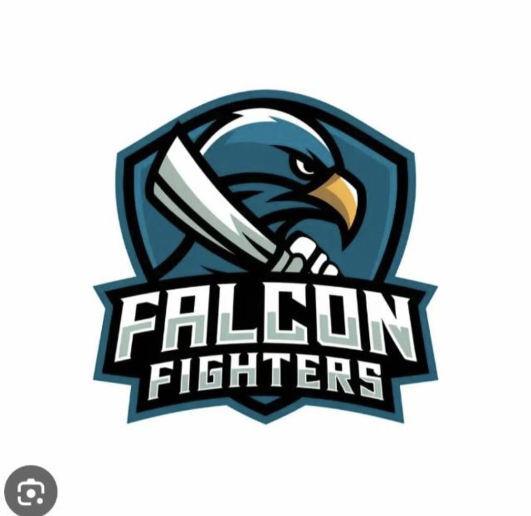 FALCON FIGHTERS 