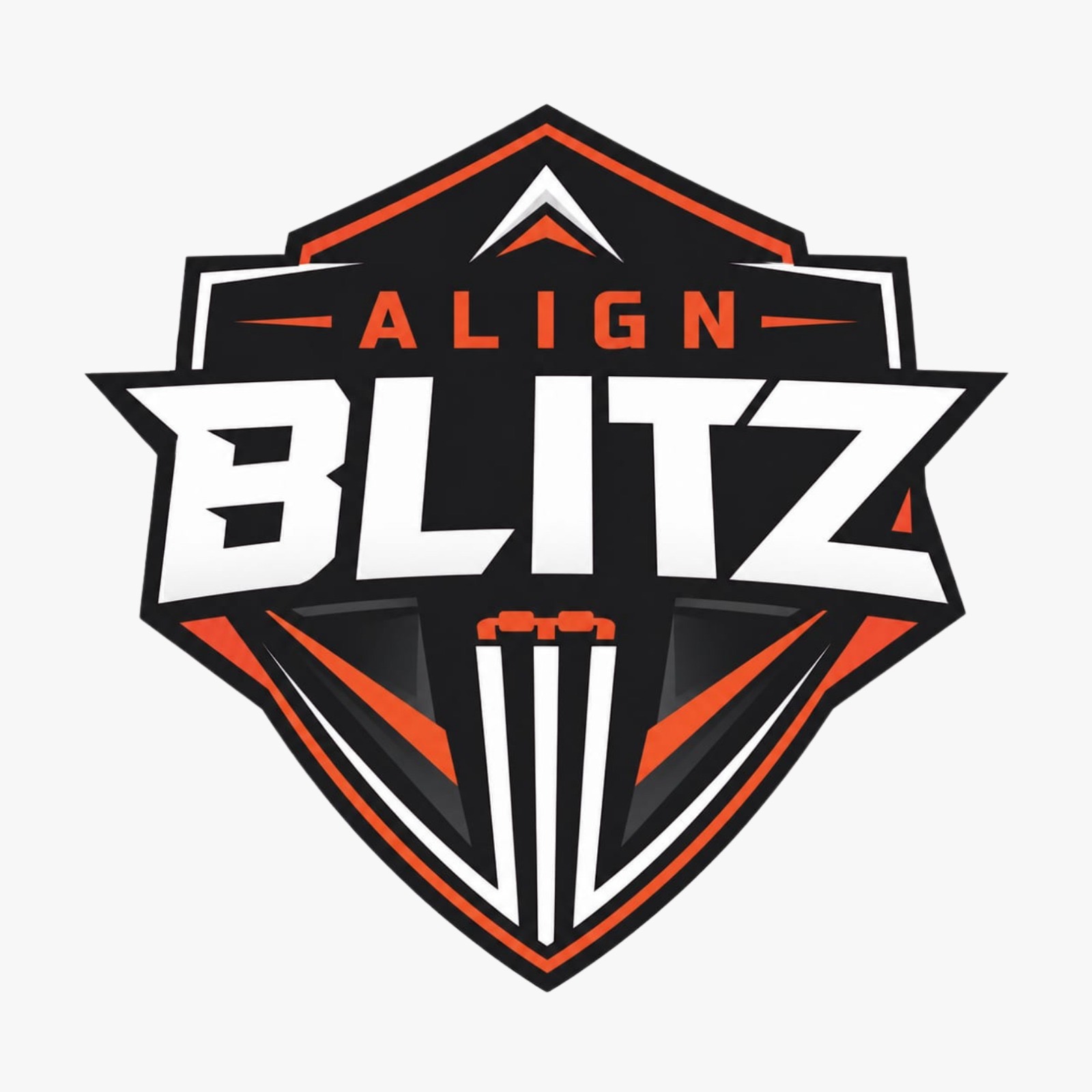 ALIGN BLITZ