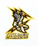 THUNDER STRIKERS