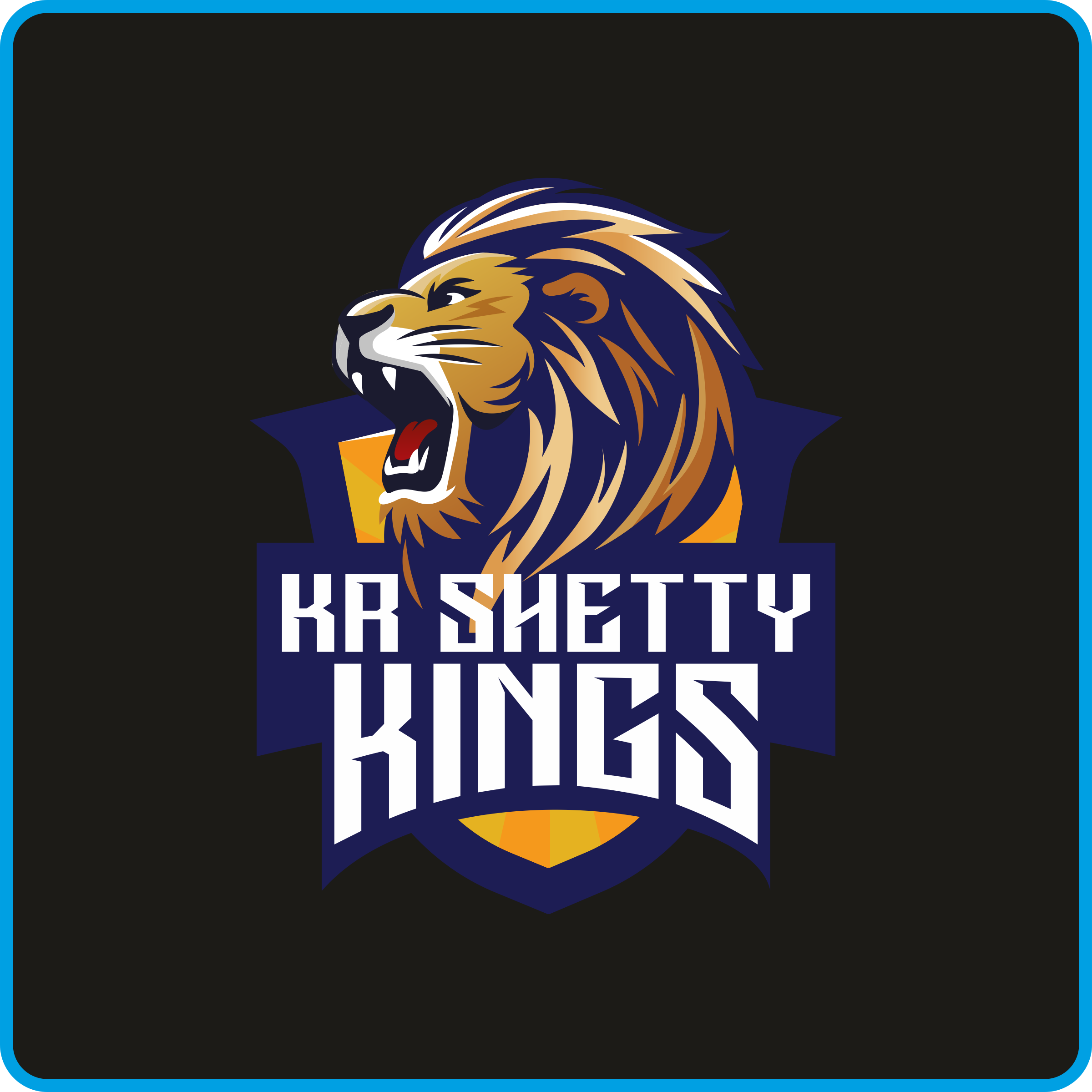 KR SHETTY KINGS