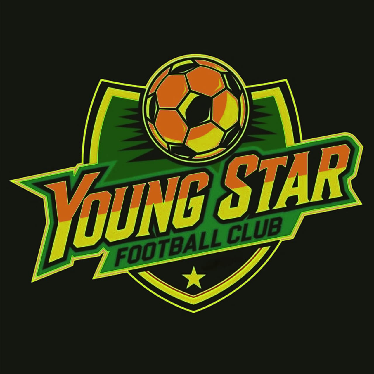 Team Logo