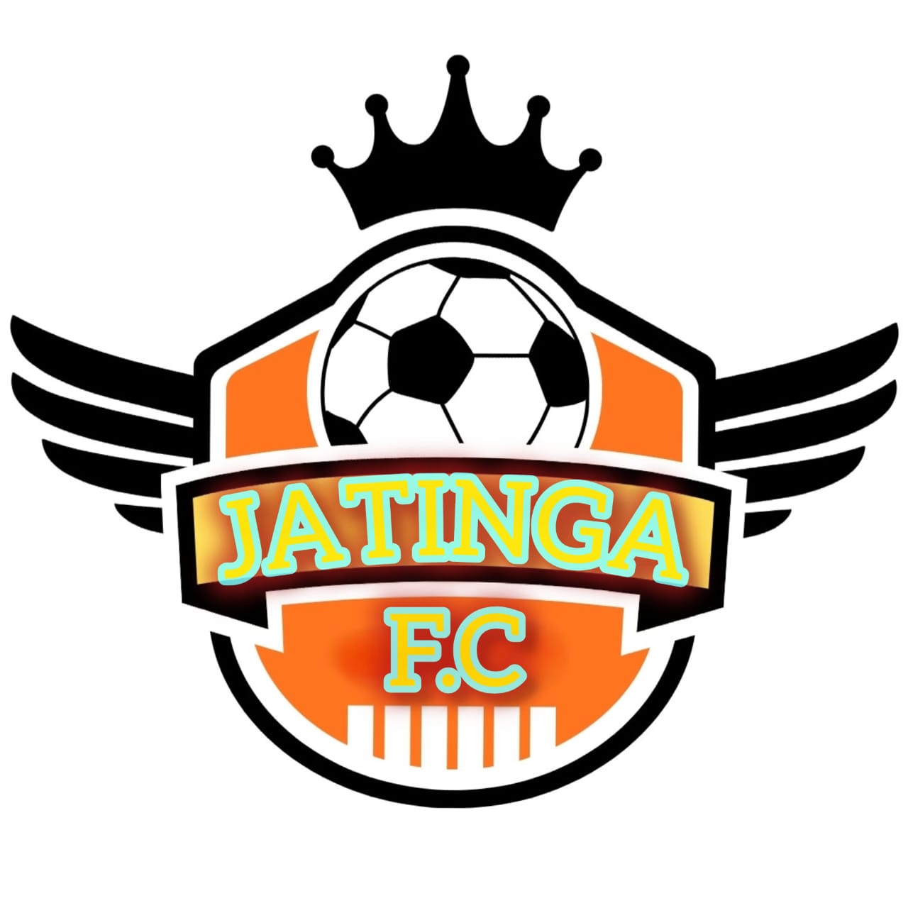 Team Logo