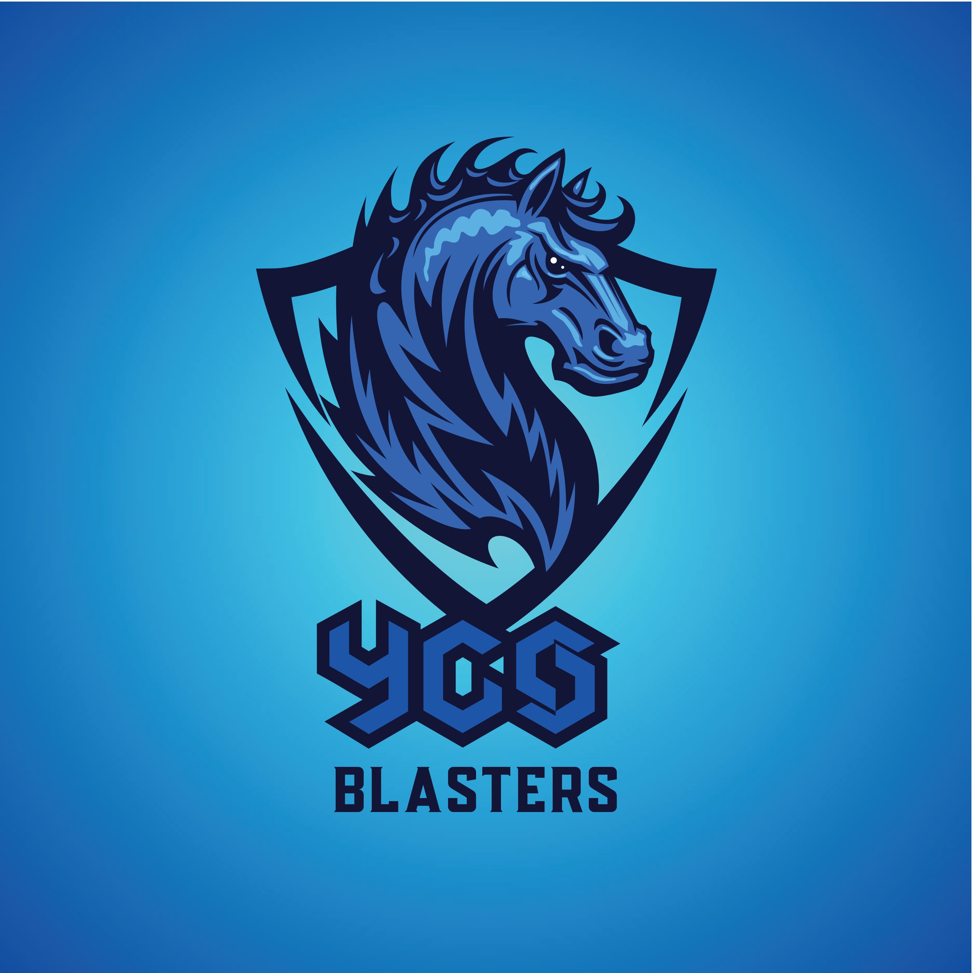 YCS BLASTERS