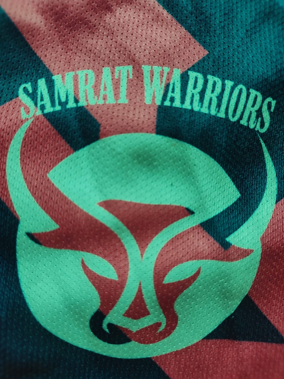 Team Logo