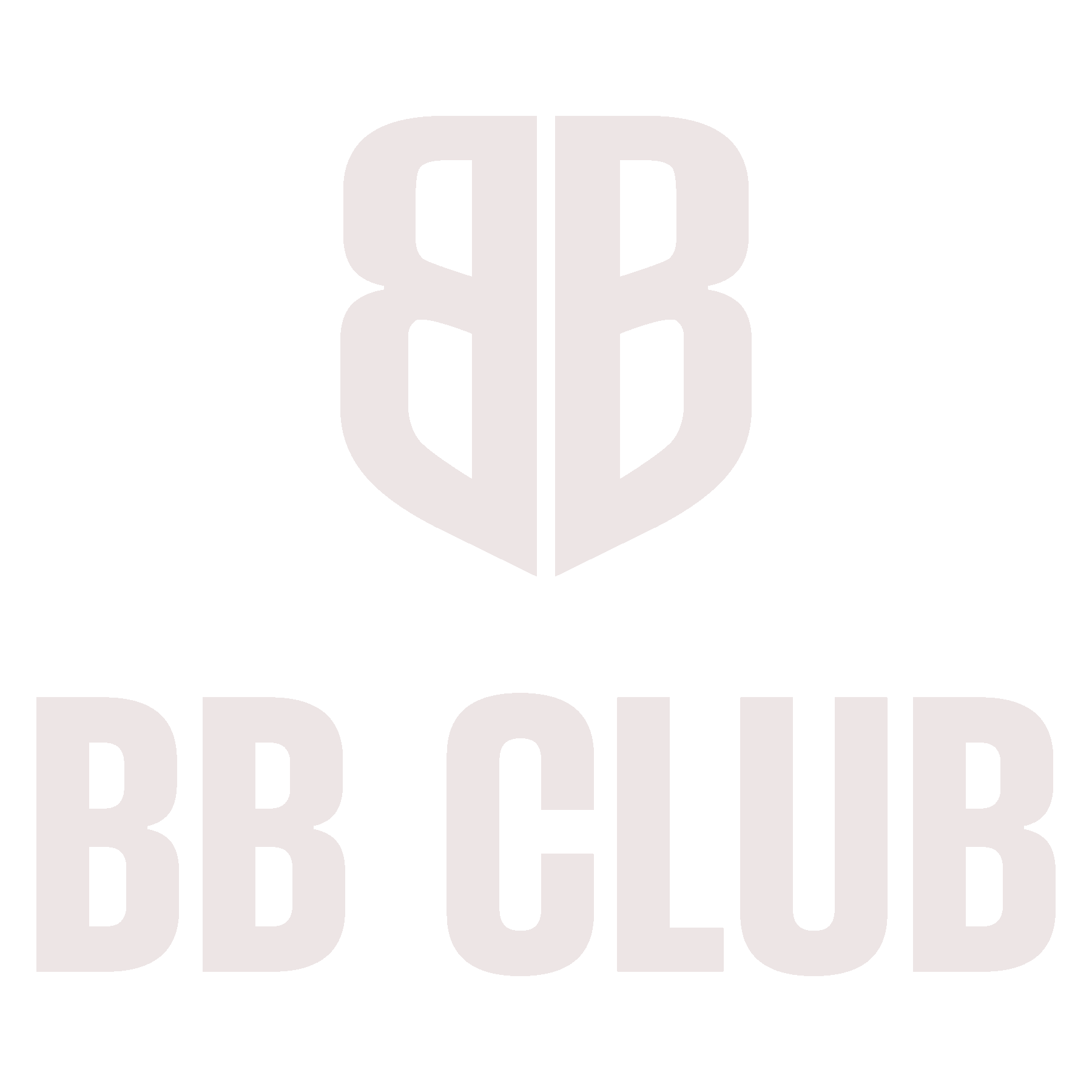 BB BOX CRICKET TOURNAMENT 2026