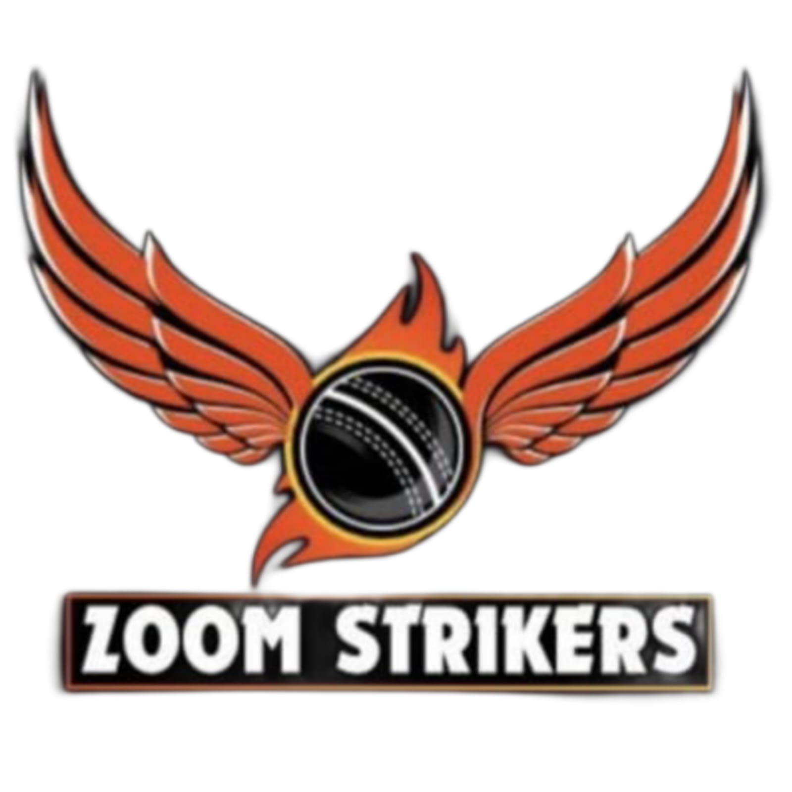 ZOOM STRICKERS