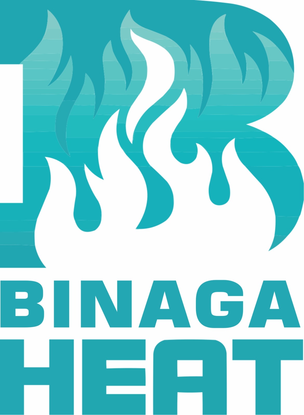 BINAGA HEAT