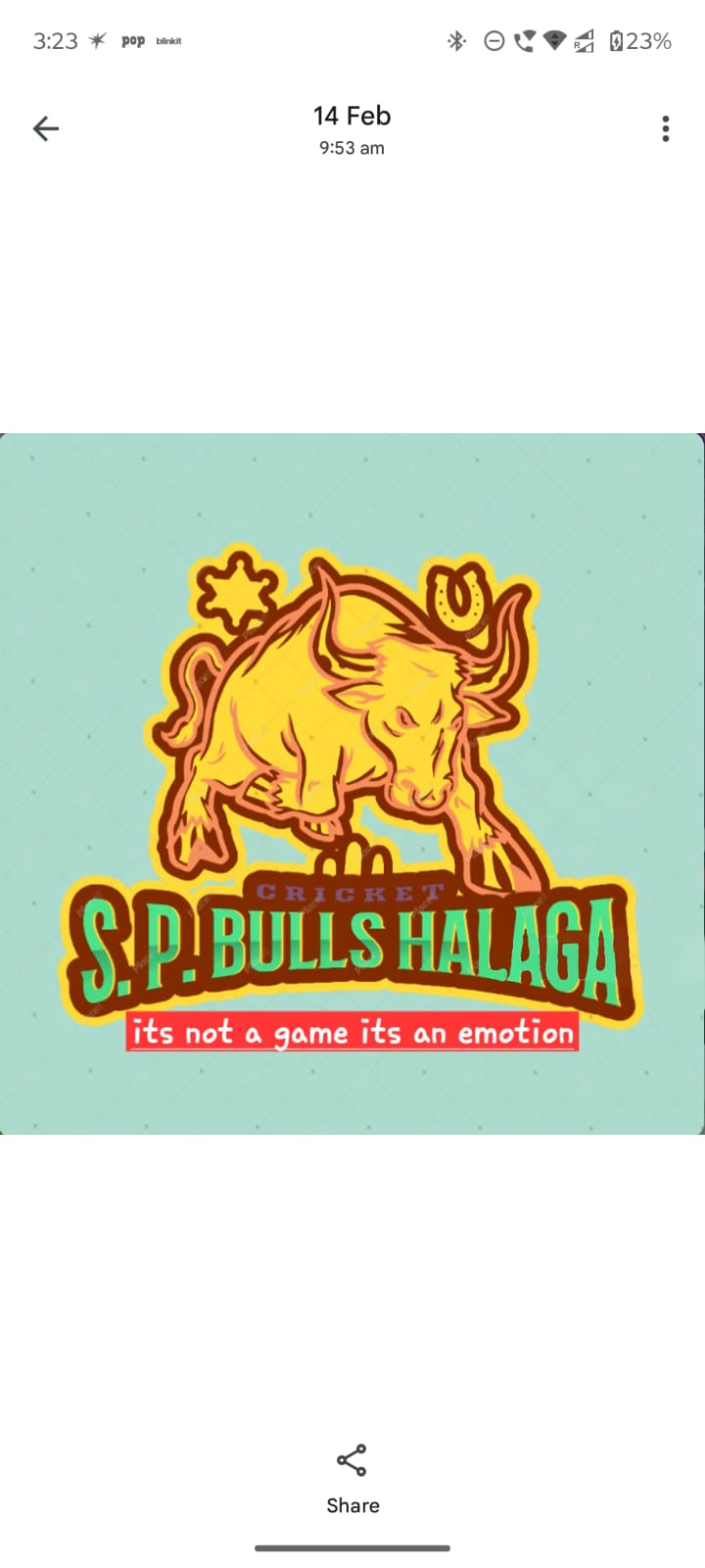 S P BULLS HALAGA