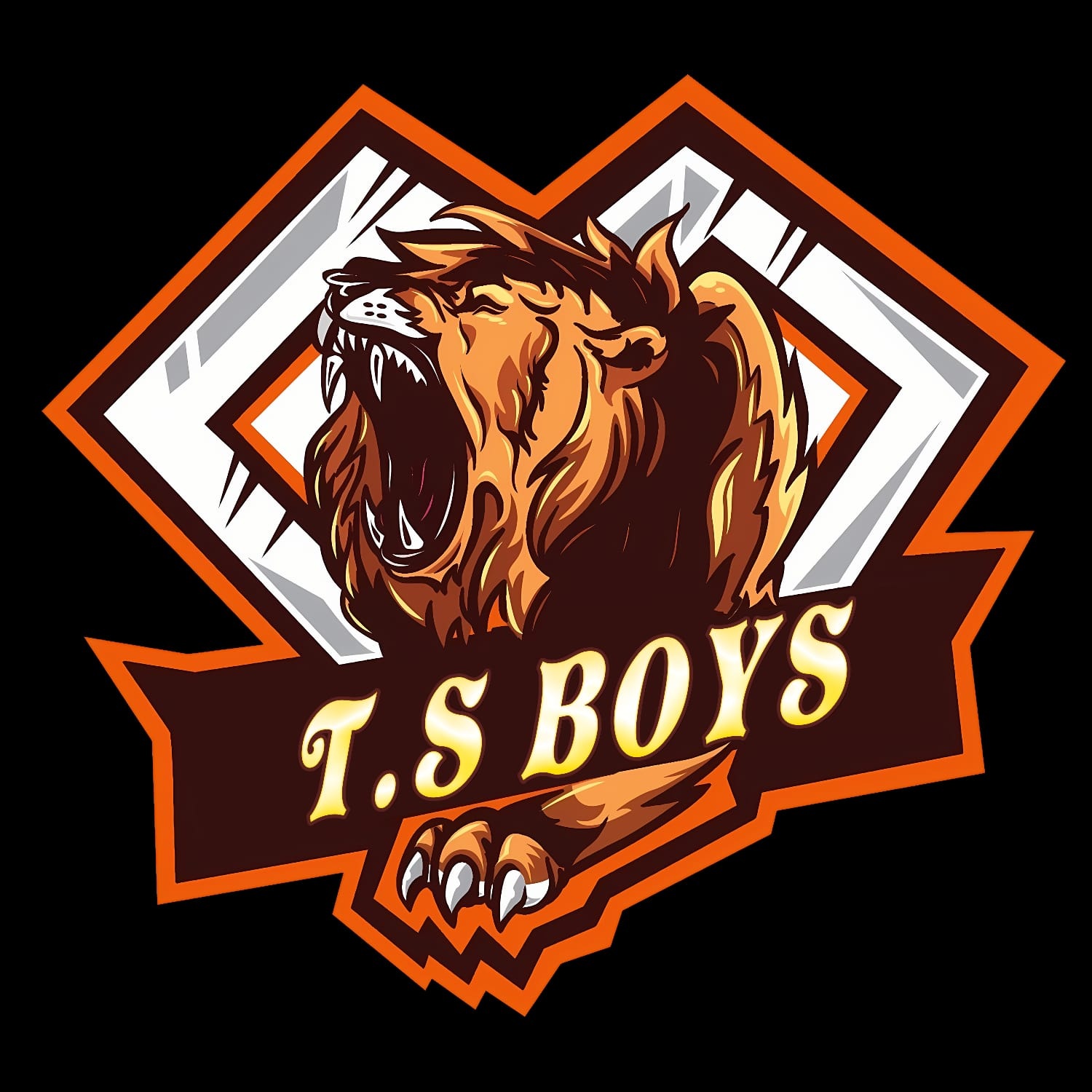 TS BOYS